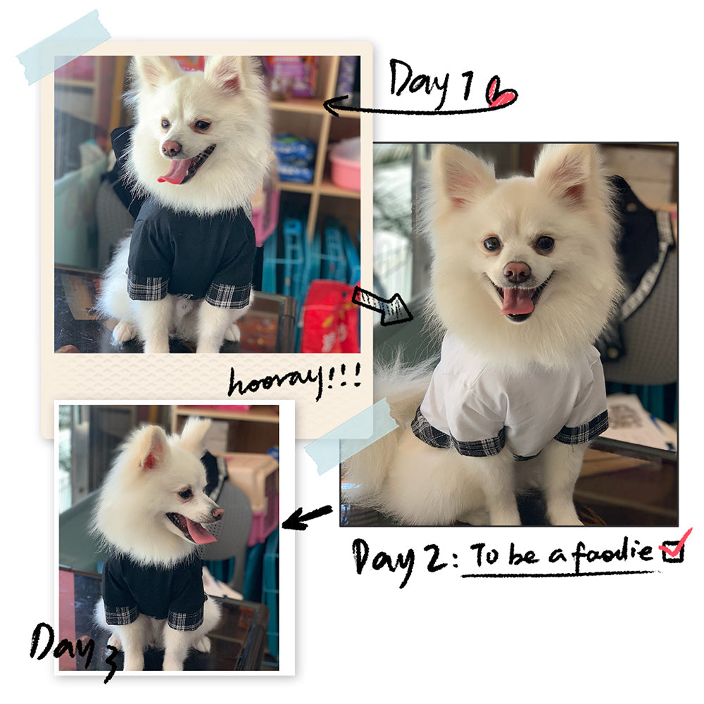 Dog Summer Thin Fashion Cotton 100% T-Shirt Pet Clothes