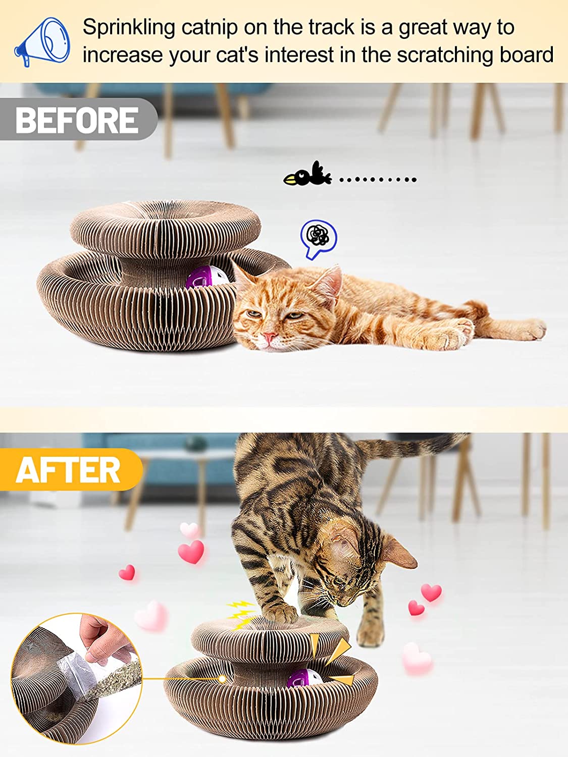 Organ Deformable Cat Ball Track With Cat Ball Toy