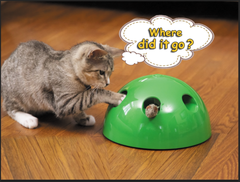 Interactive Motion Cat Toy