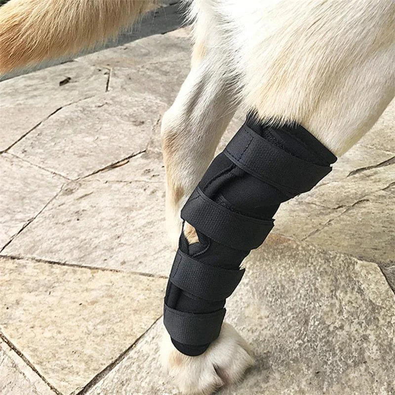 Dog Knee Pads Protector