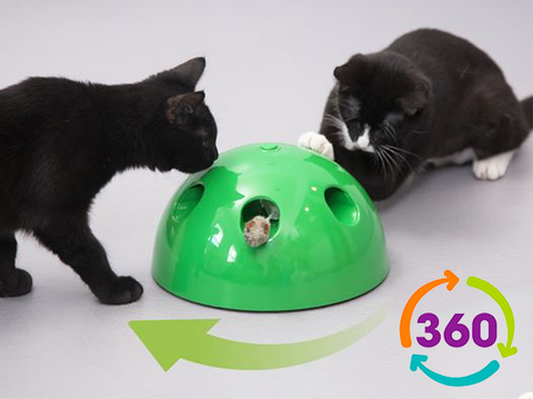 Interactive Motion Cat Toy