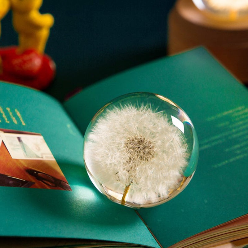 ArtZ® I See A Bright Future Dandelion Crystal Ball