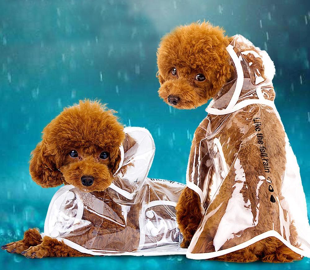 Dog Raincoat