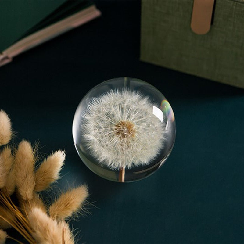 ArtZ® I See A Bright Future Dandelion Crystal Ball