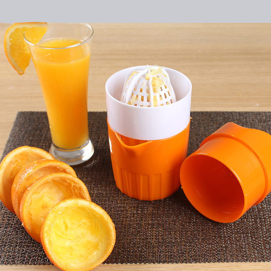 Mini Juicer