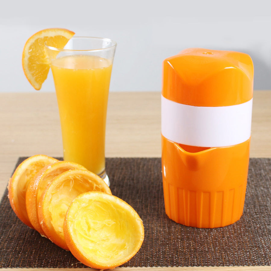 Mini Juicer