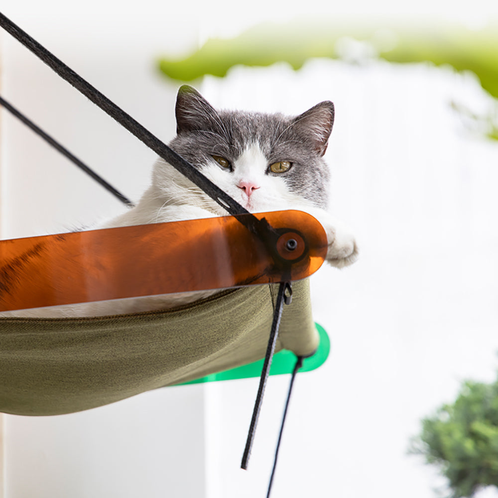 Nido per animali domestici per tipo Cat Sunshine Time