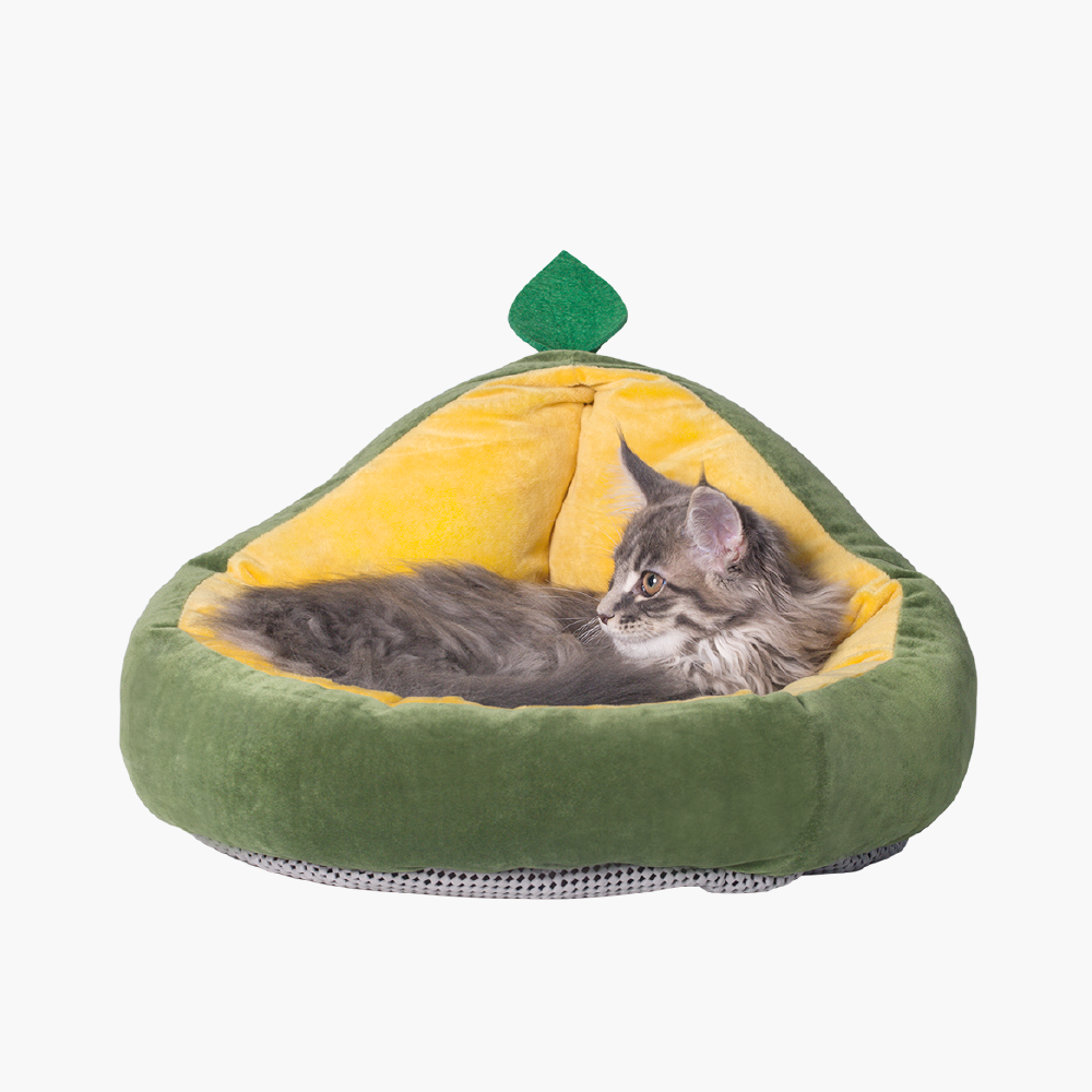 Nido per animali domestici tipo avocado