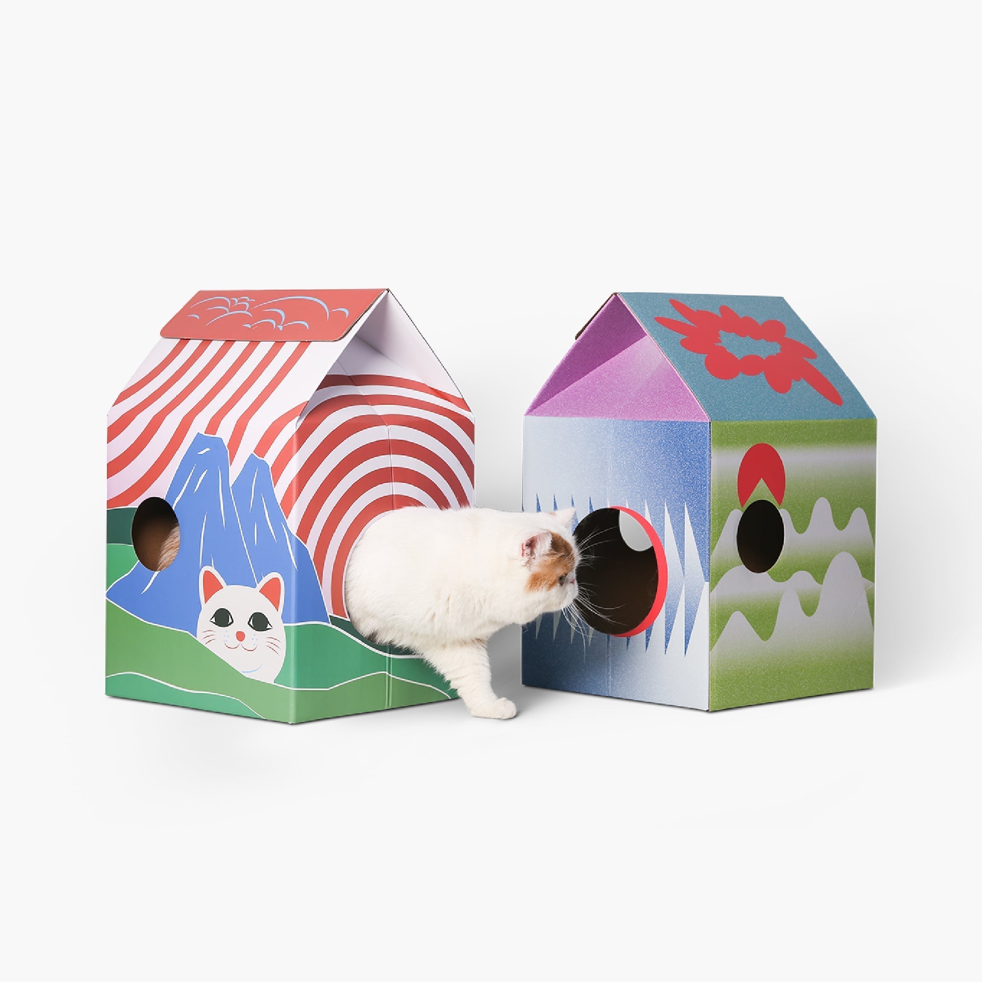 Tavola tiragraffi per tipo Cat House