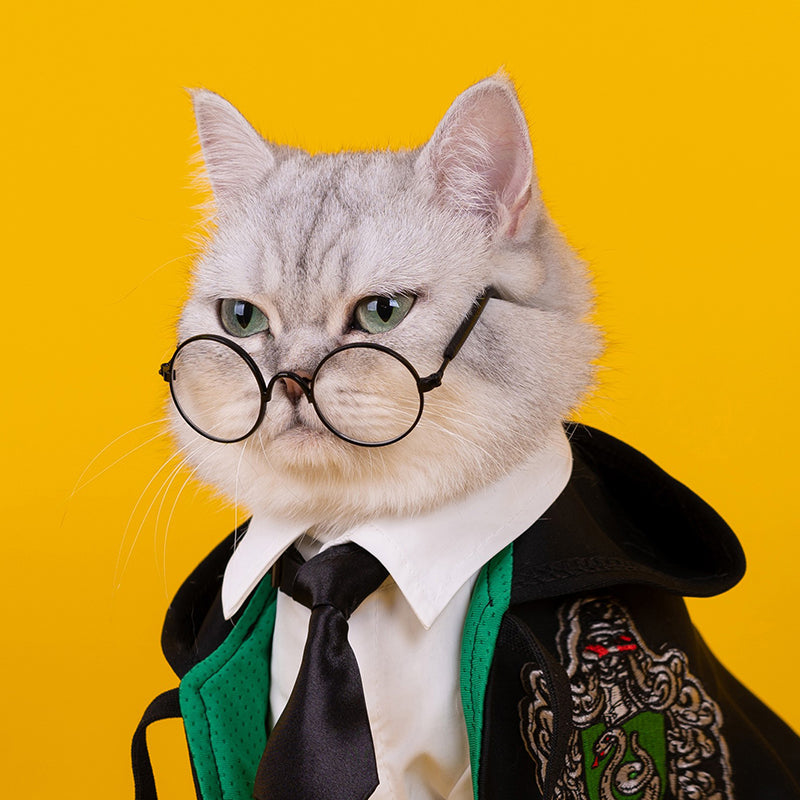 Cat Harry Potter Cape Pet Clothes With Tie and Glasses