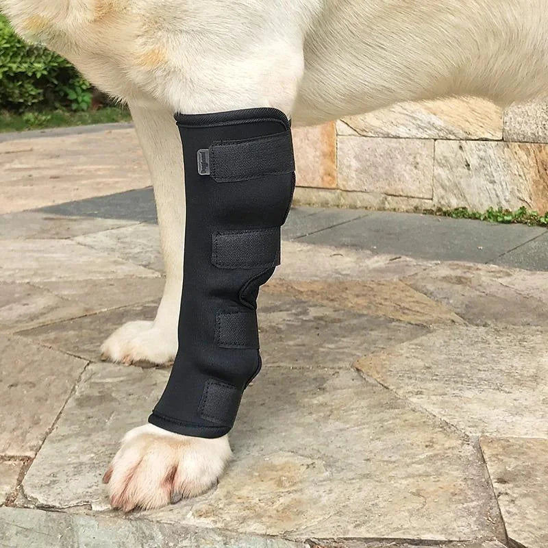 Dog Knee Pads Protector