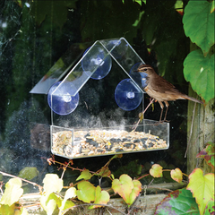 Mountable Clear Bird House【50% OFF】