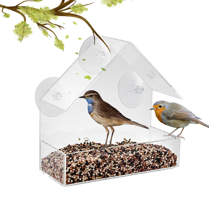 Mountable Clear Bird House【50% OFF】