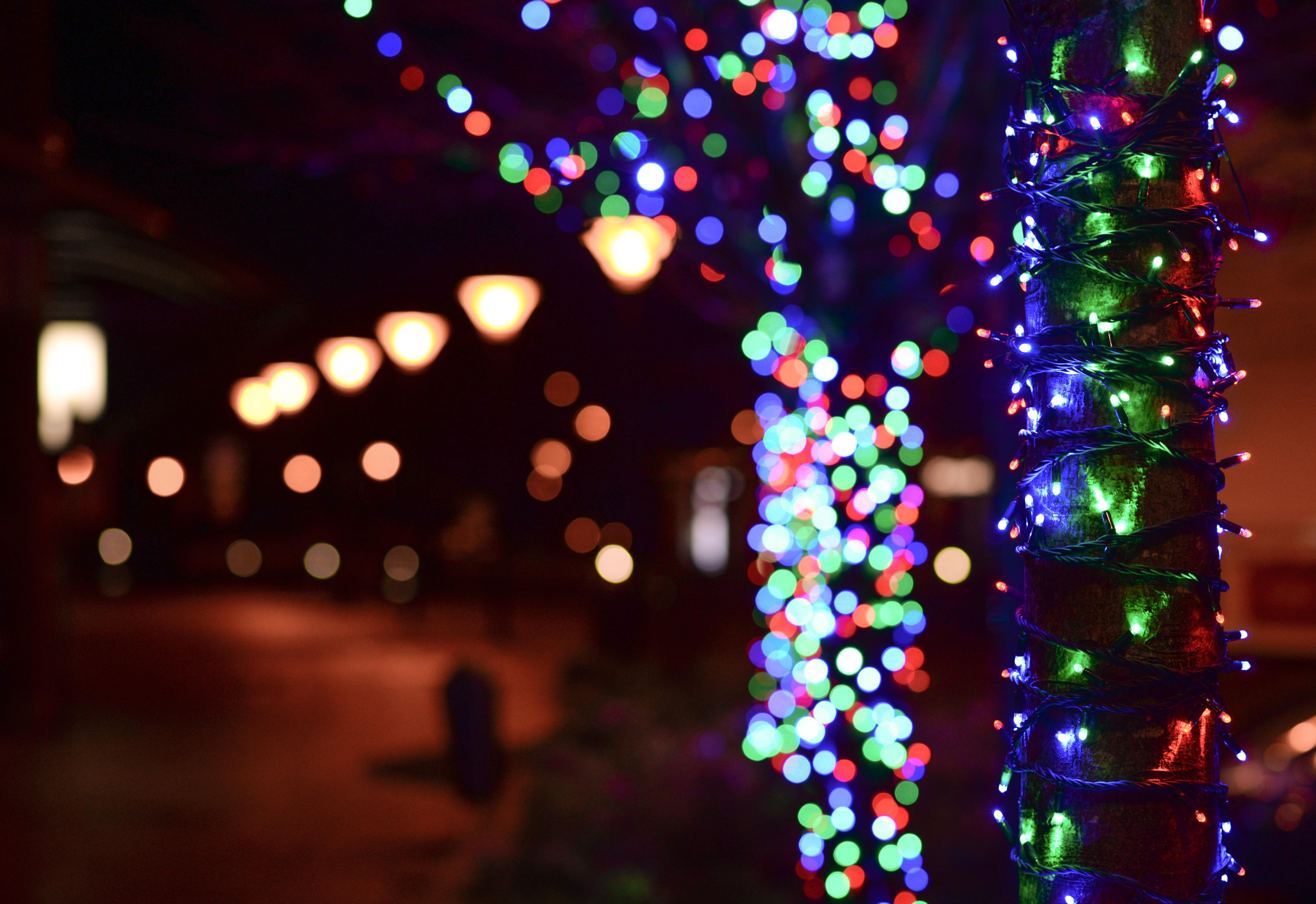 Trixie - LED Solar Powered Fairy Lights