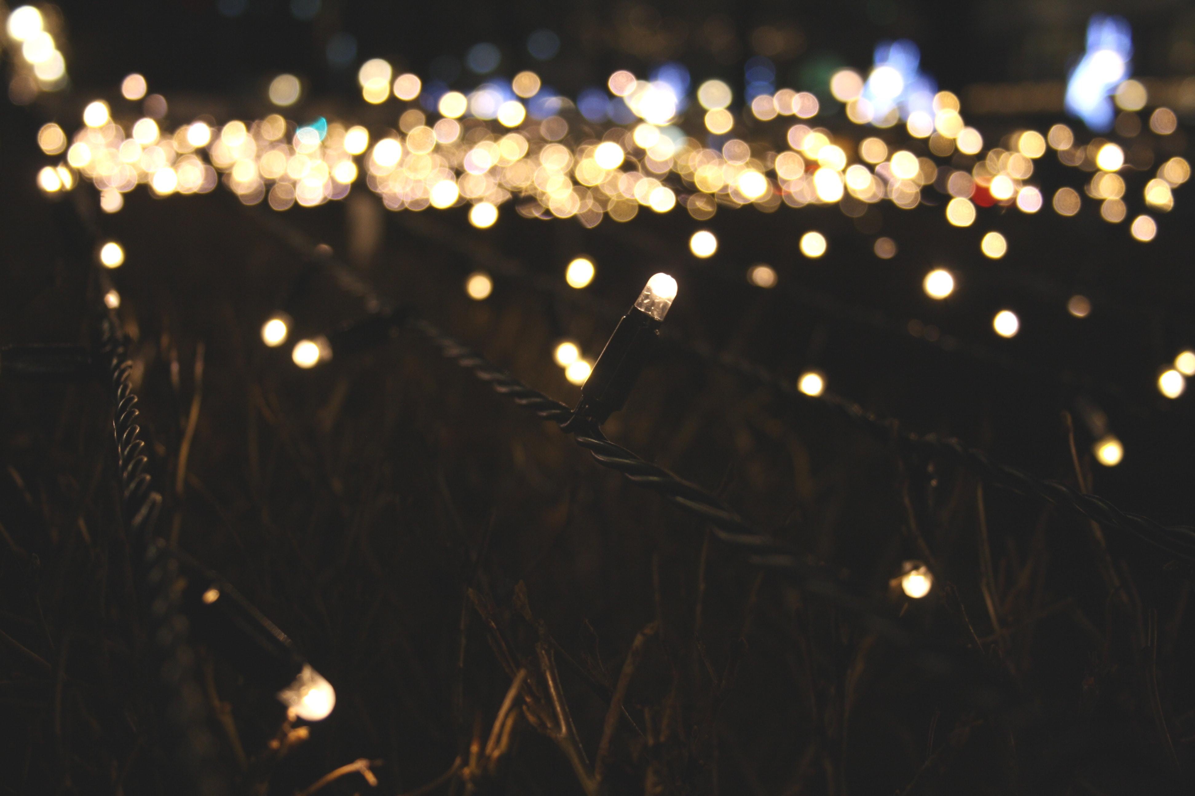 Trixie - LED Solar Powered Fairy Lights