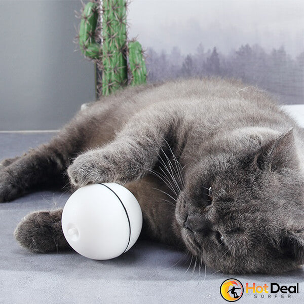 Magic Cat LED Ball