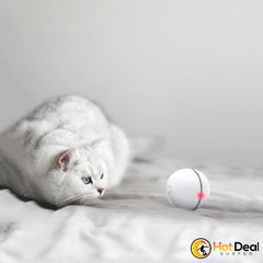 Magic Cat LED Ball