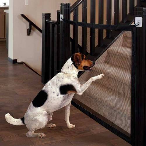 Portable Pet & Child Safety Gate