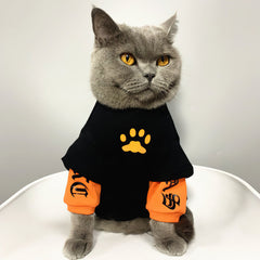 Black Orange Street Style Cat Clothes