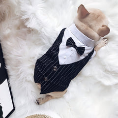 Pet Dogs Prince Summer Thin Tuxedo Wedding Party Suit Formal Wear