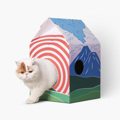 Tavola tiragraffi per tipo Cat House