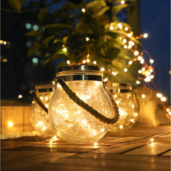 Modern Round Glass Jar Garden Hanging Lamp