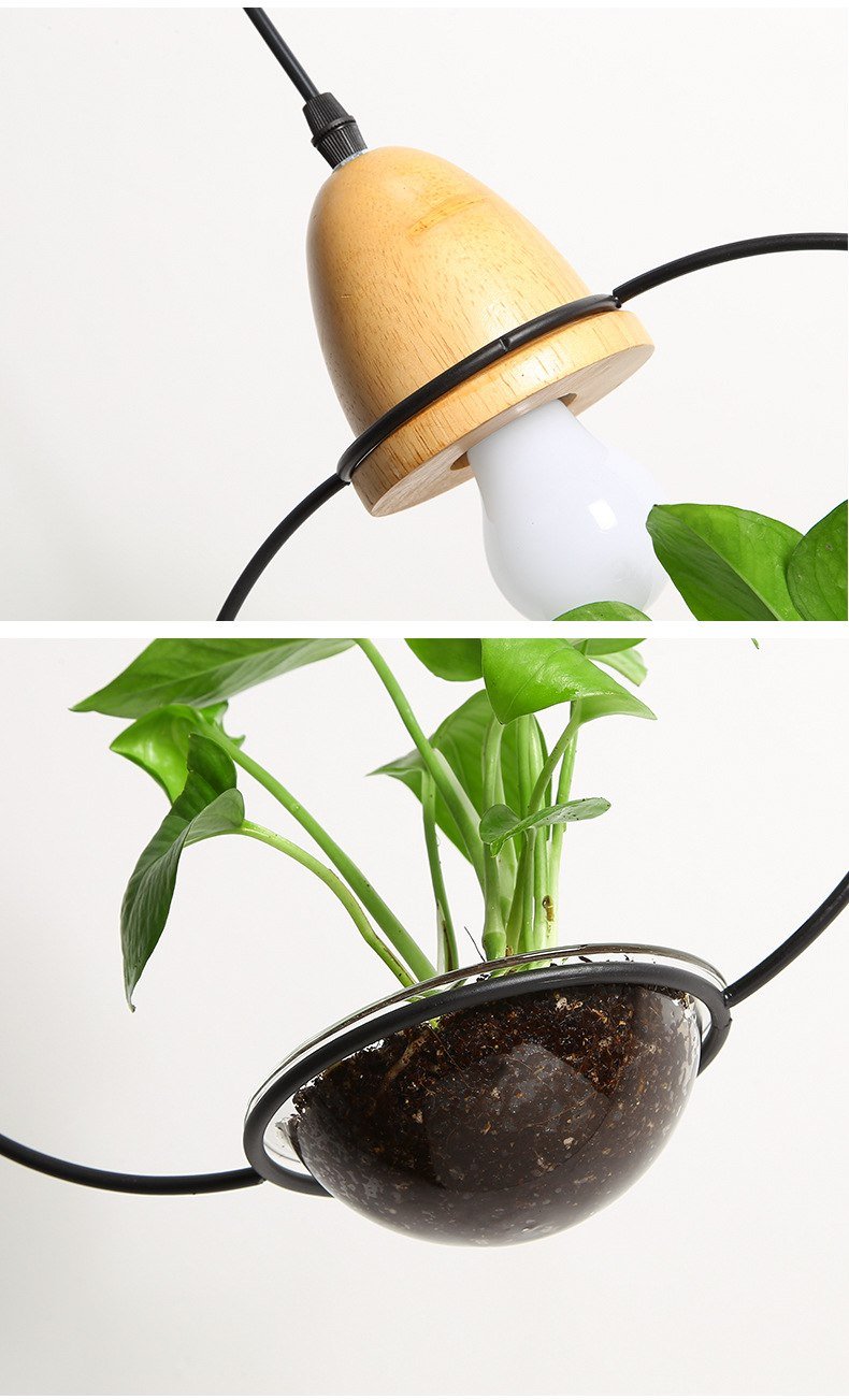 Zox - Modern Nordic Iron Pendant Planter Lamp