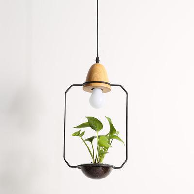 Zox - Modern Nordic Iron Pendant Planter Lamp