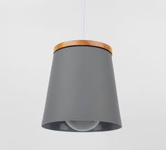 Modern Nordic Drop Down Lamp