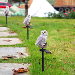 Owl Solar Light