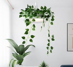 Mauricio - Modern Planter Lampshade