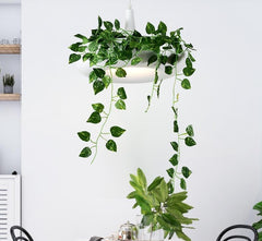 Mauricio - Modern Planter Lampshade